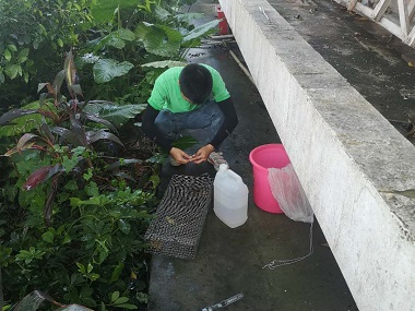 番禺控制有害生物站毒蛇与无毒蛇的区别